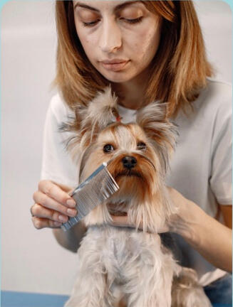 Sophia Martinez – Groomer